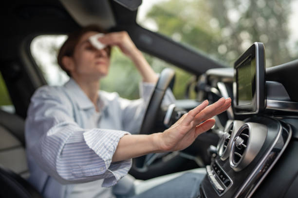 Best Thermostats and Smart Controls in Chesterton, IN
